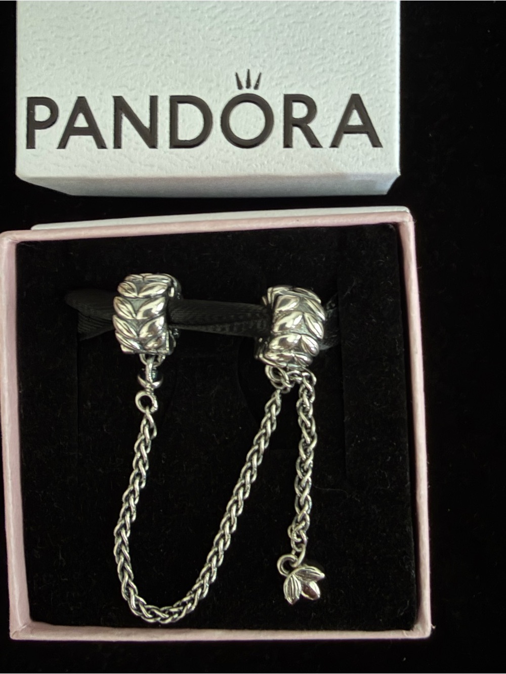 Grains of Energy Sterling Silver Safety Chain